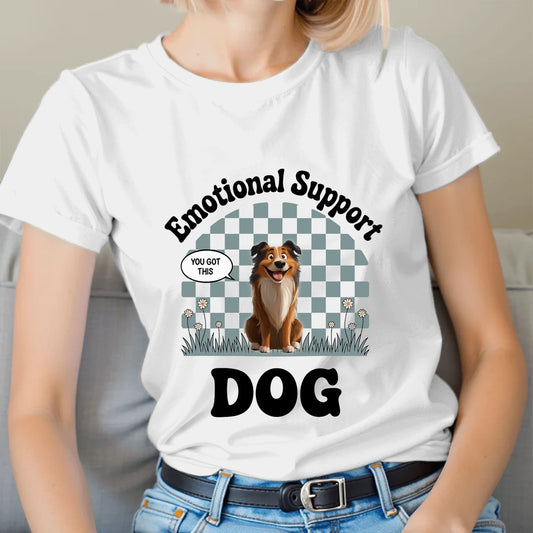 T-shirt-all color 5