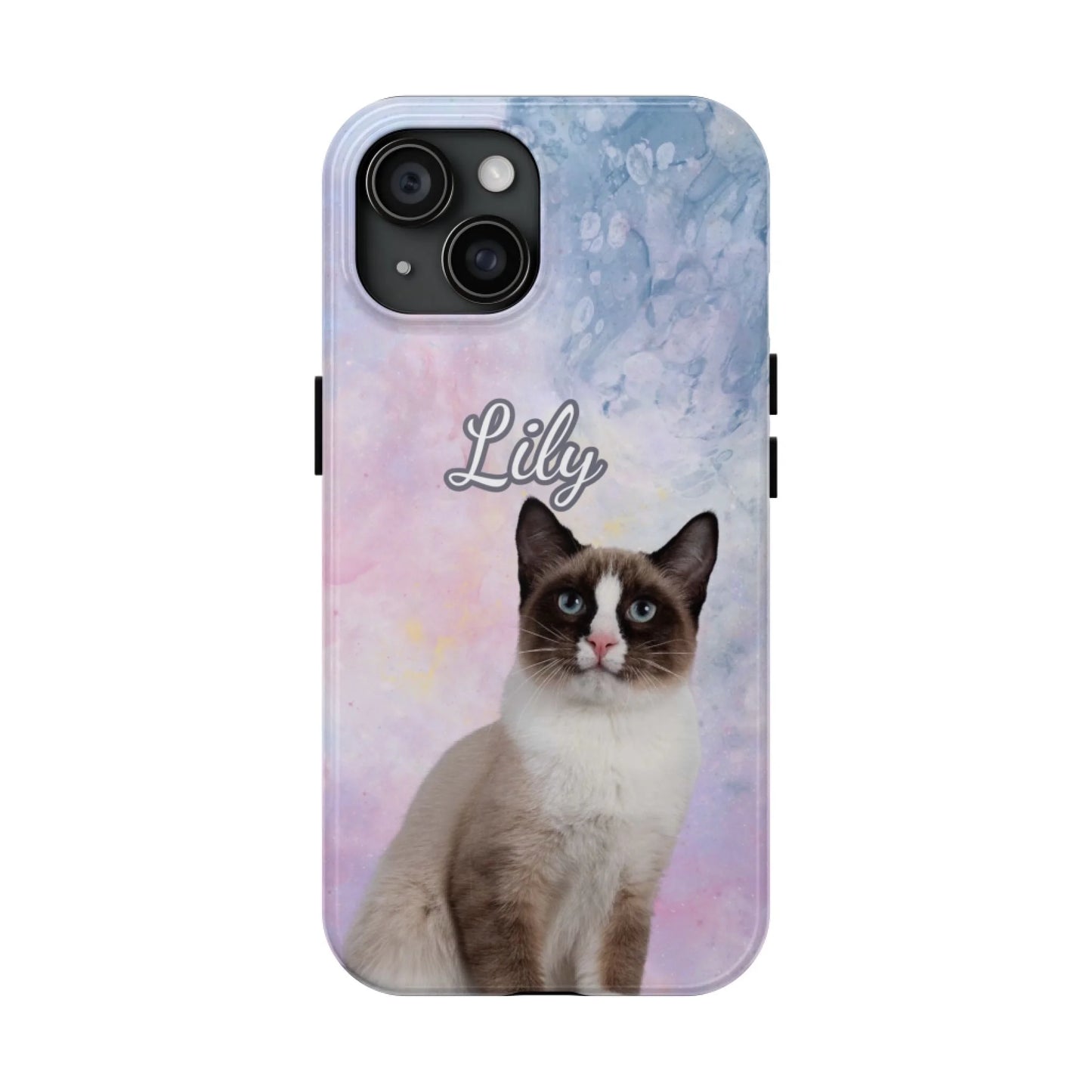 45f211af-d1aa-4ed8-b682-0f8a87a9f2c1