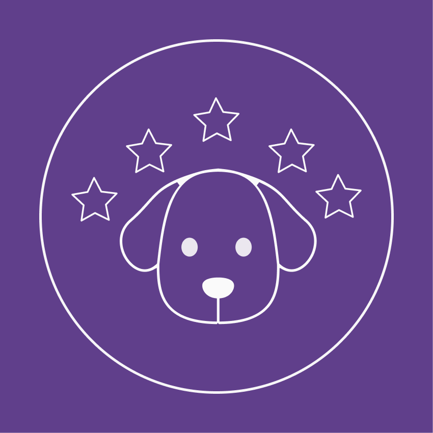 Petz and Co custom pet illustration featuring a happy pet alongside a five-star review, highlighting excellent customer satisfaction. High-quality, personalised pet products loved by pet owners.